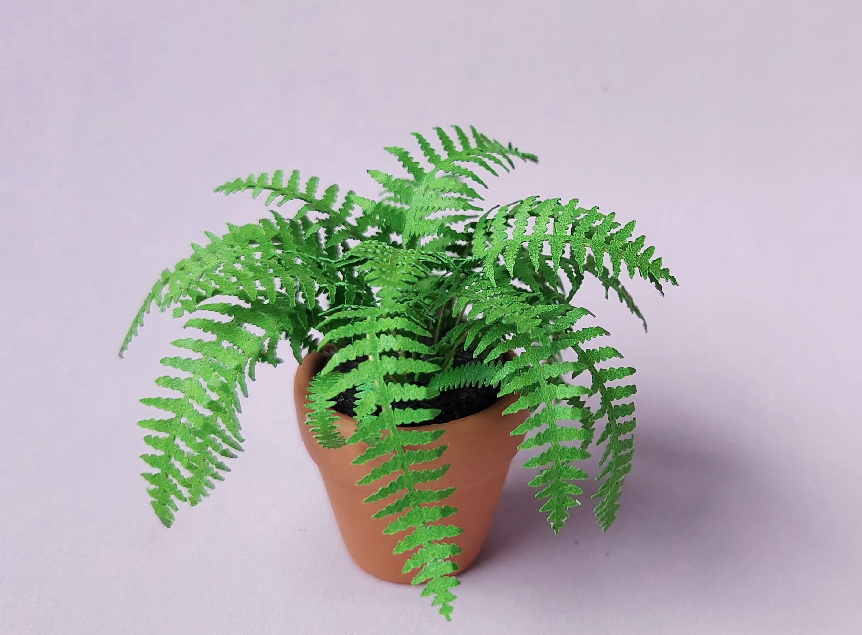 Miniature Kit 1:12 House Fern grass green flower shop, DIY fairy dollshouse