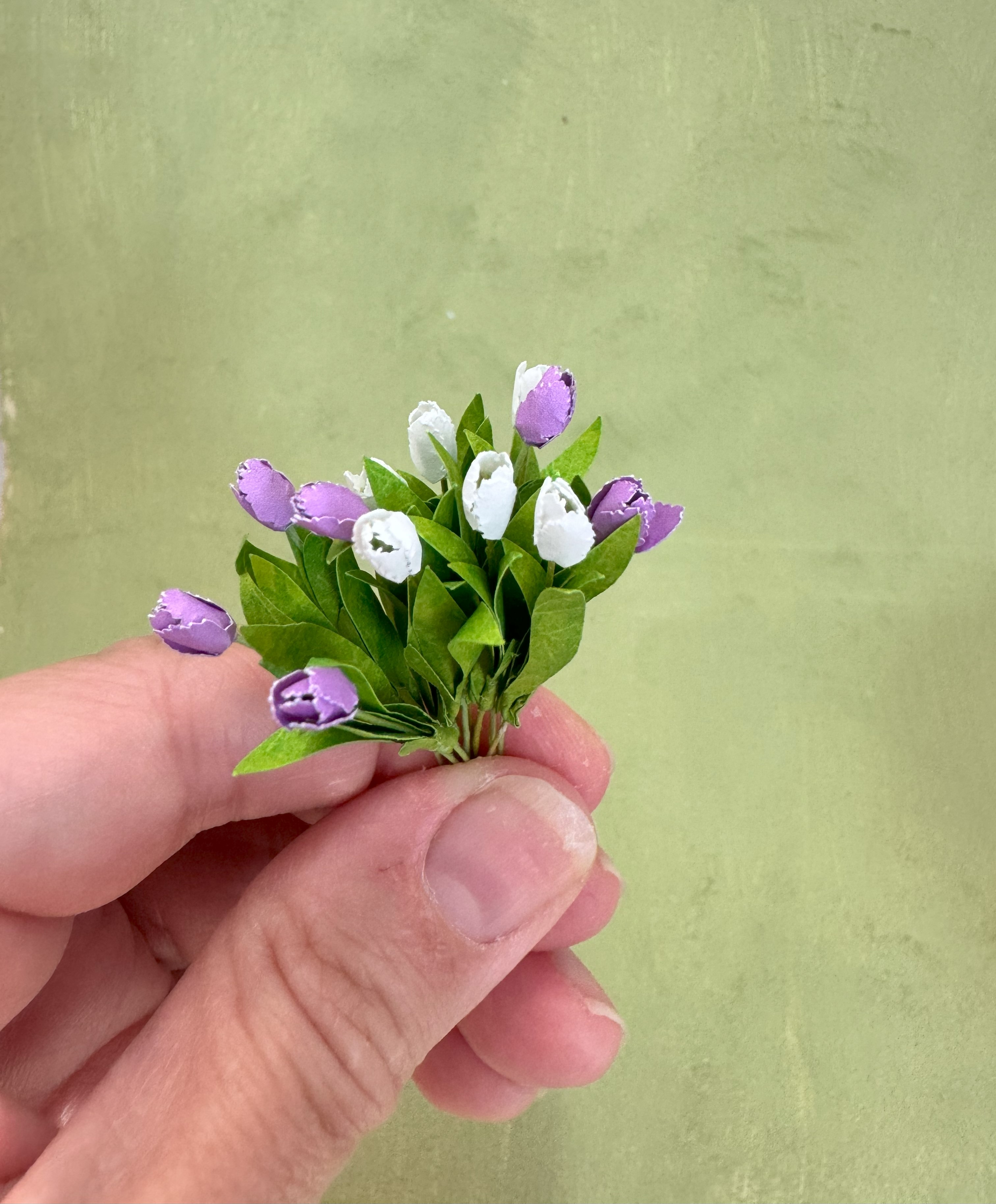 Miniature 12x Tulip flowers