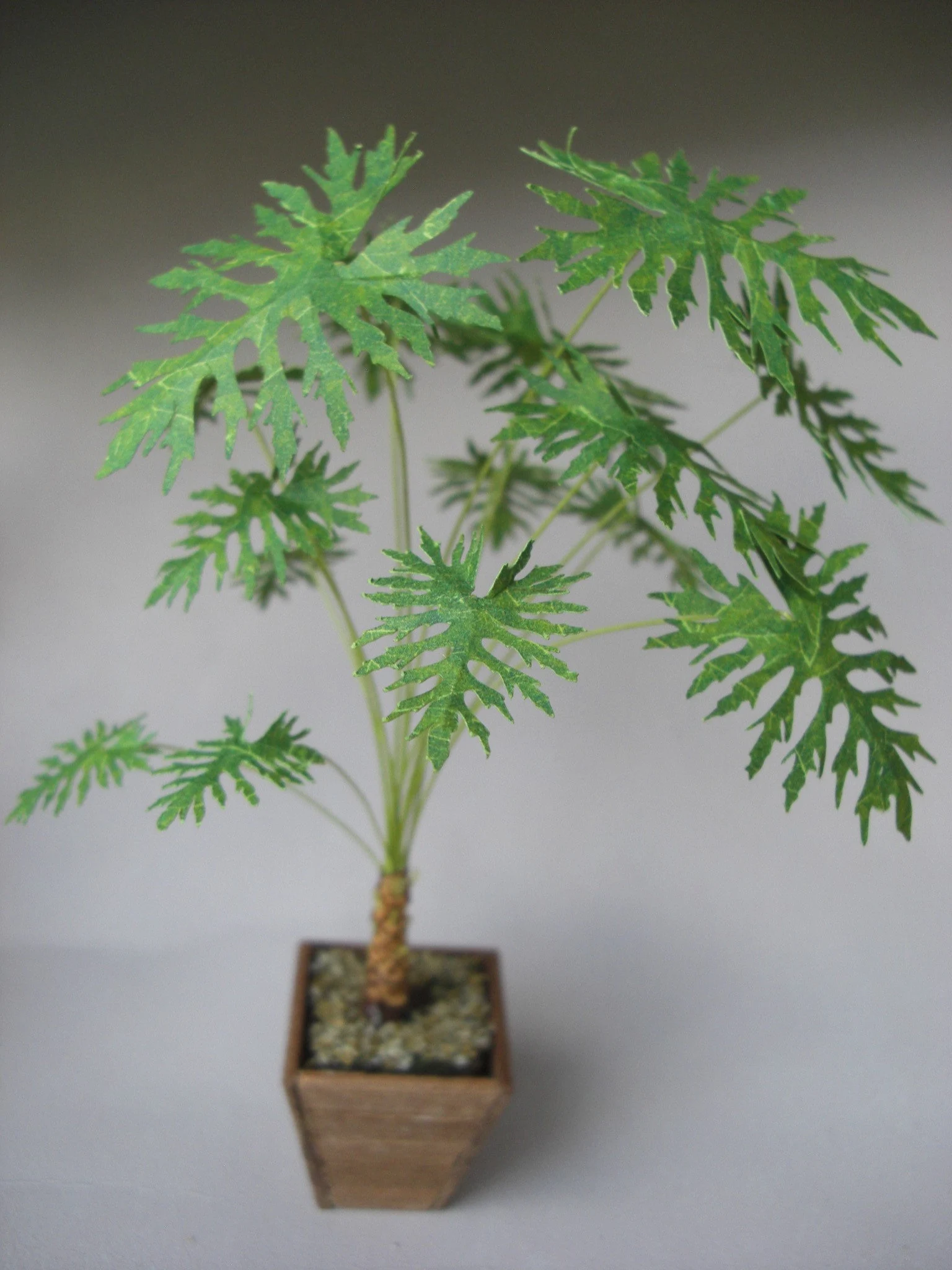 Miniature Philodendron split leaf Palm Tree 1:12 