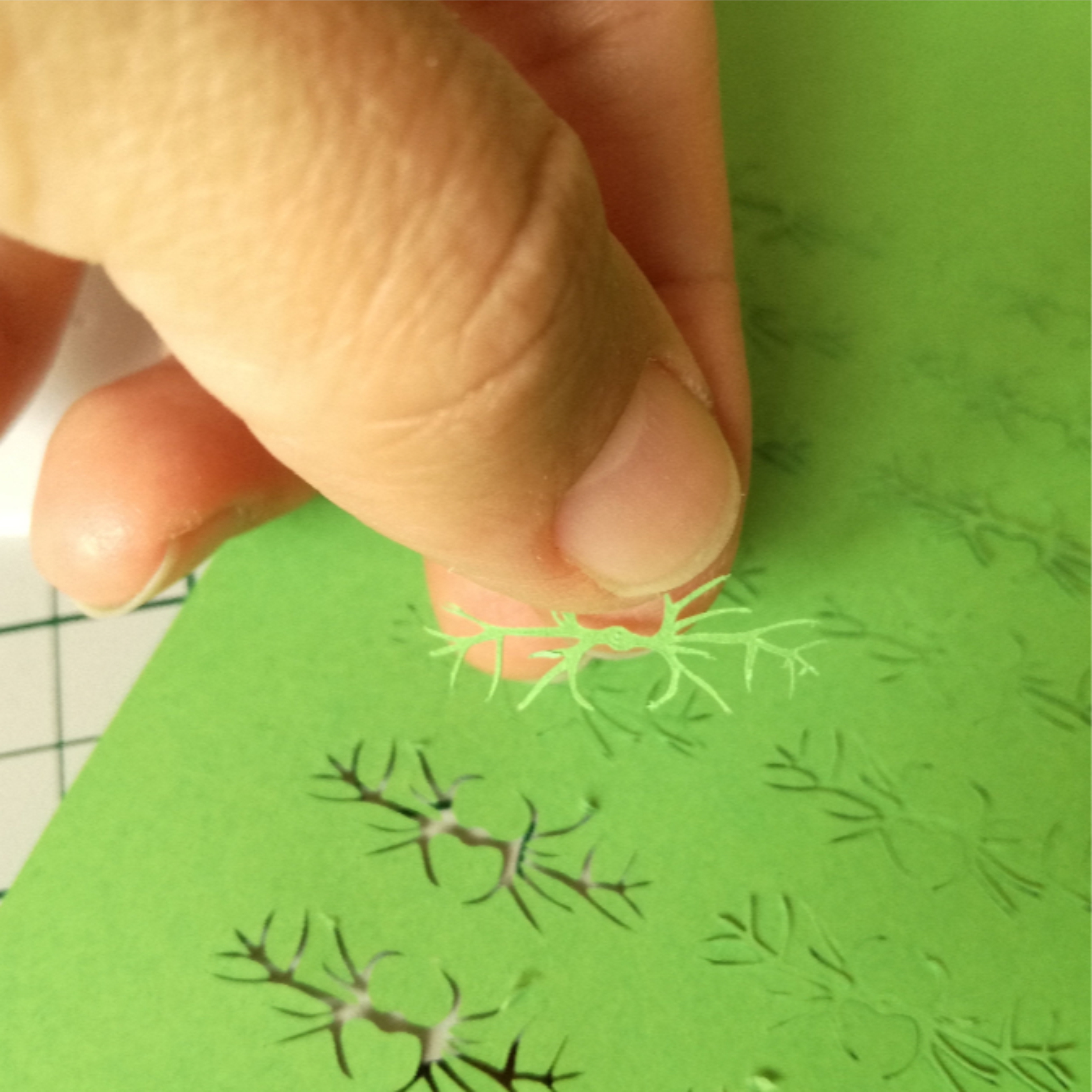 KIT Miniature garden dollhouse flower kit, scale 1:12, Cosmos pink DIY