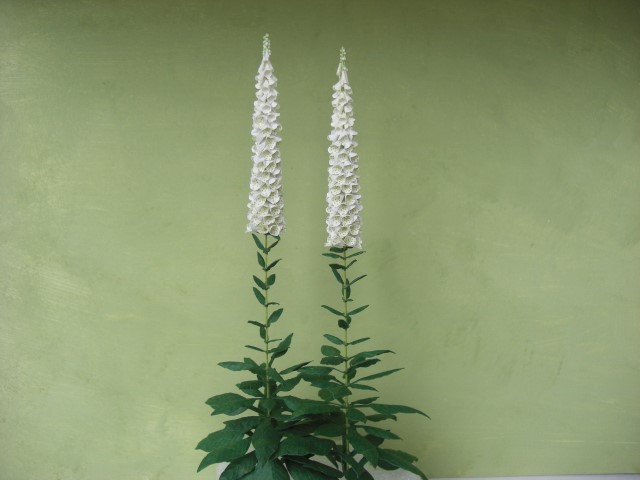 Kit light white Foxgloves dollhouse Miniature garden flower shop, scale 1:12, DIY