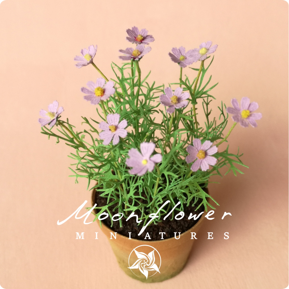 KIT Miniature garden dollhouse flower kit, scale 1:12, Cosmos Lilac DIY