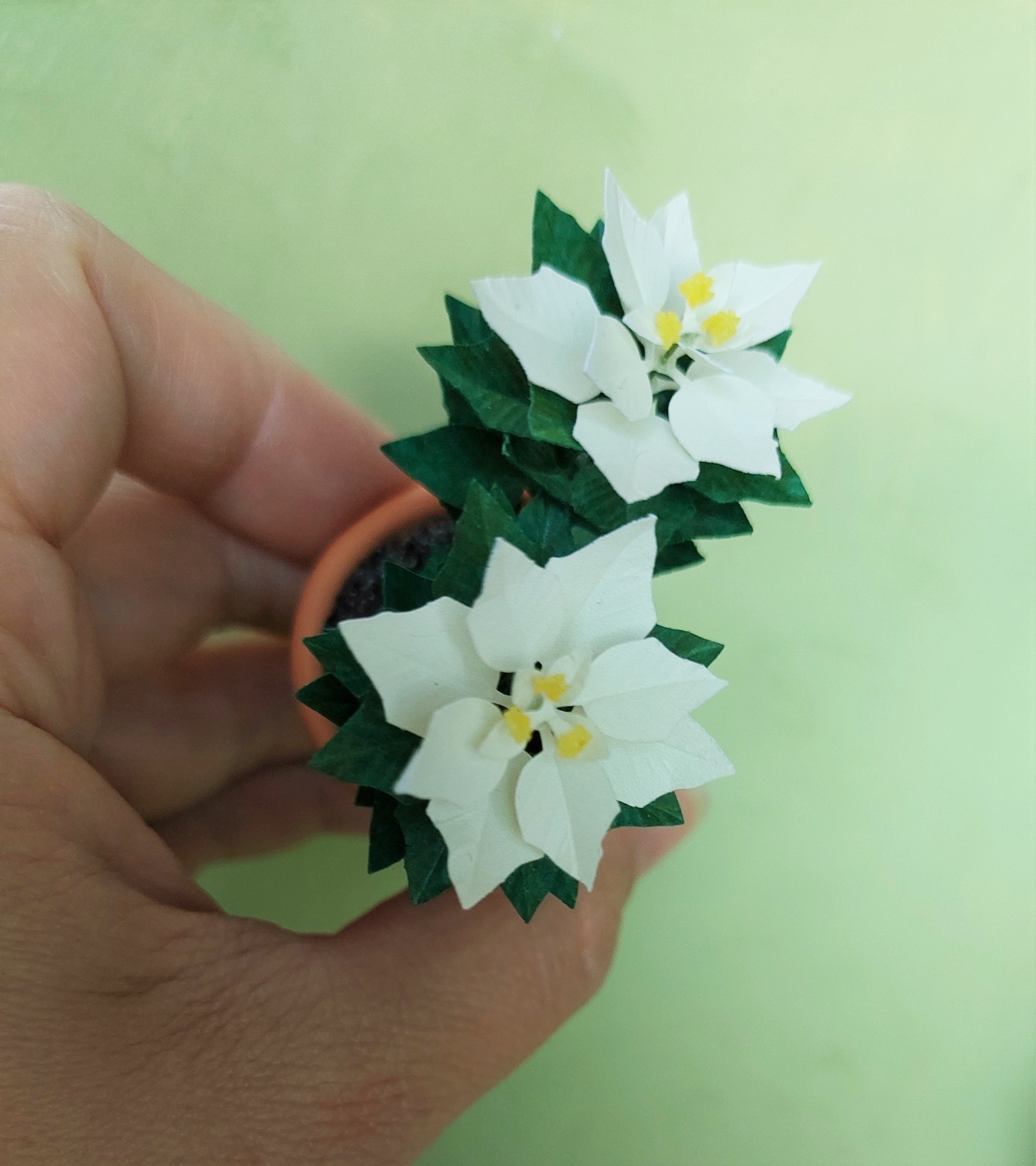 Miniature KIT White Poinsettia flower plant Christmas garden flower, scale 1:12, DIY
