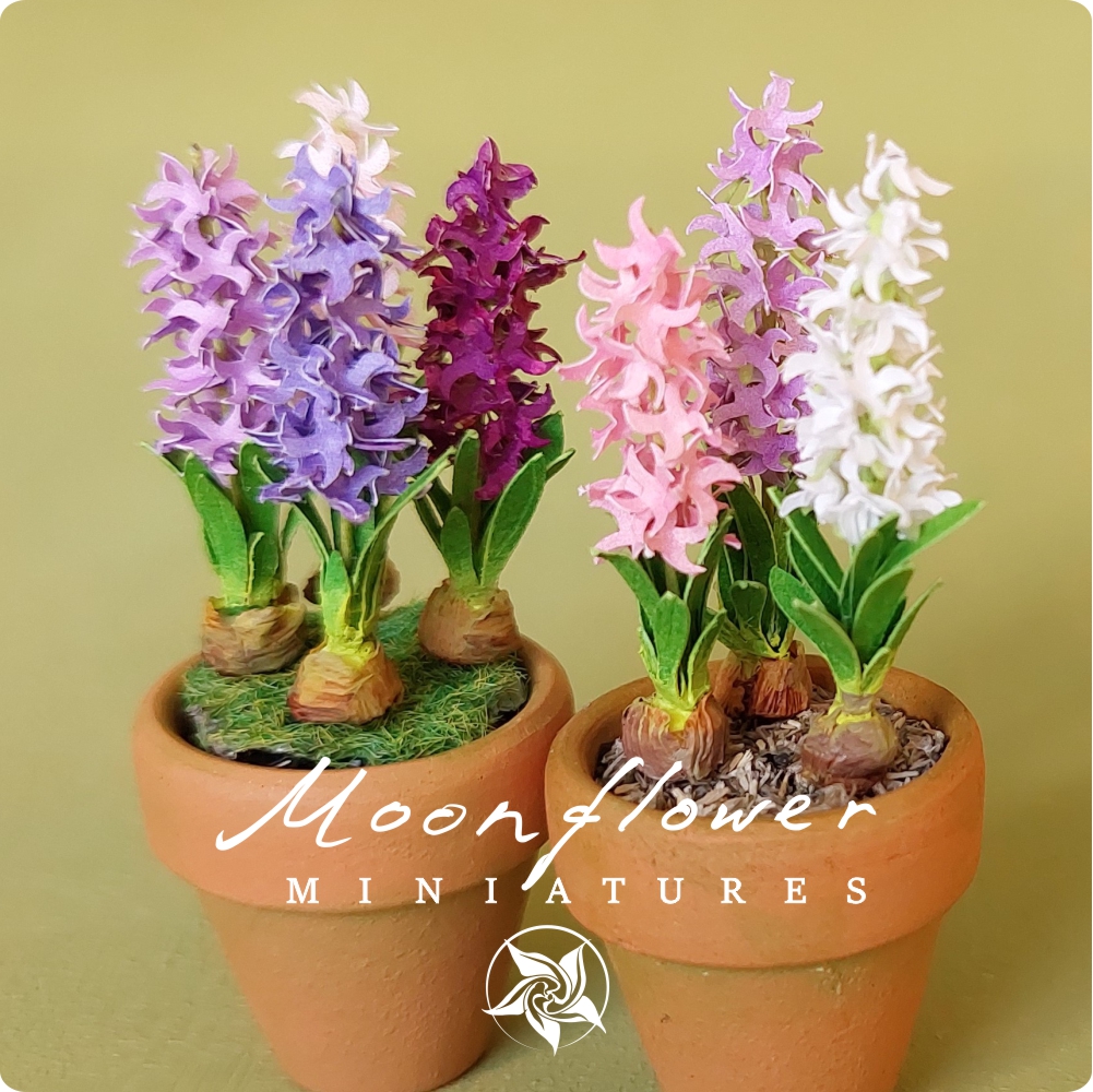 Miniature Hyacinth flowers in the terracotta pot 1:12 