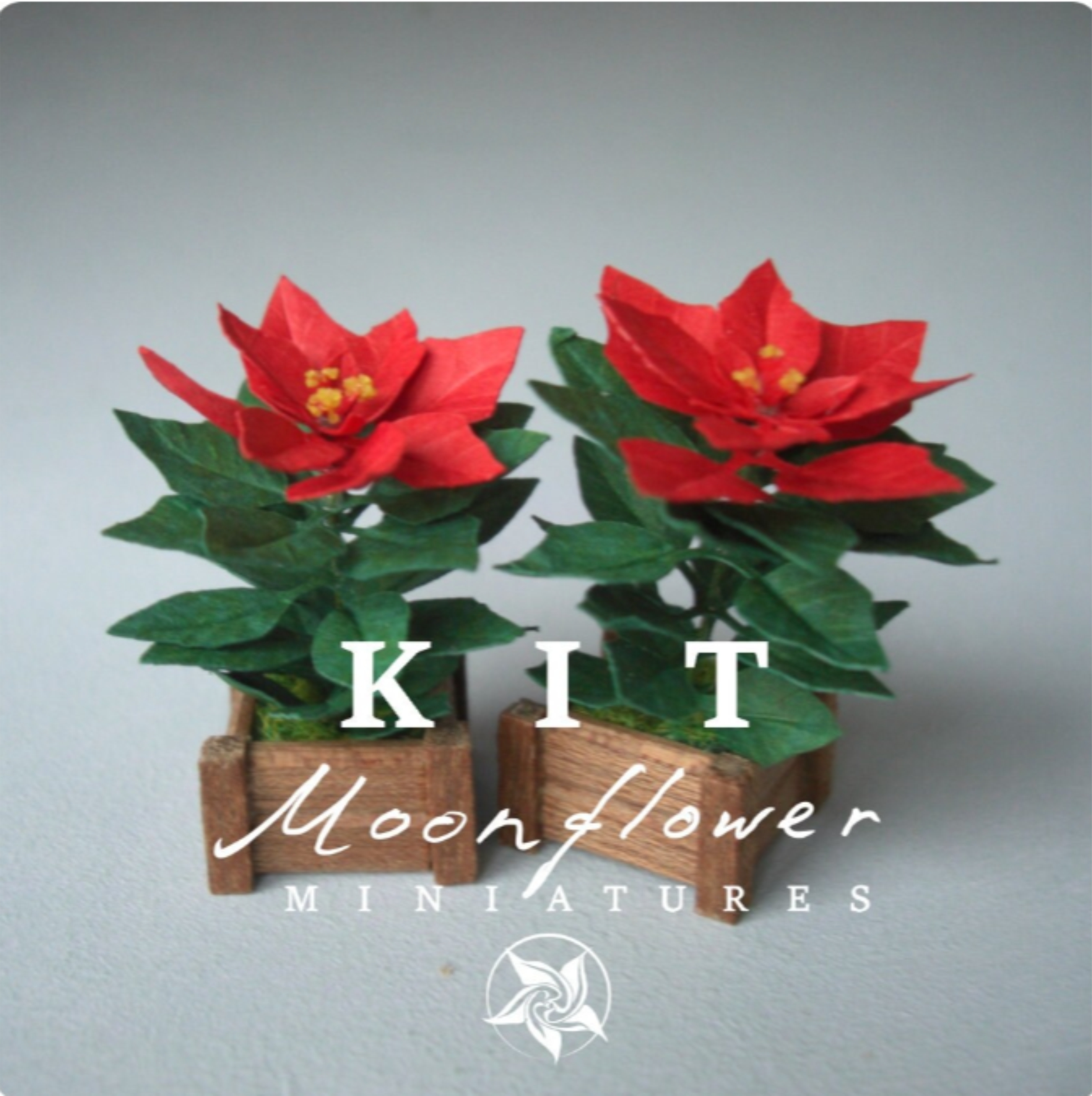 Miniature KIT Red Poinsettia flower plant Christmas garden flower, scale 1:12, DIY