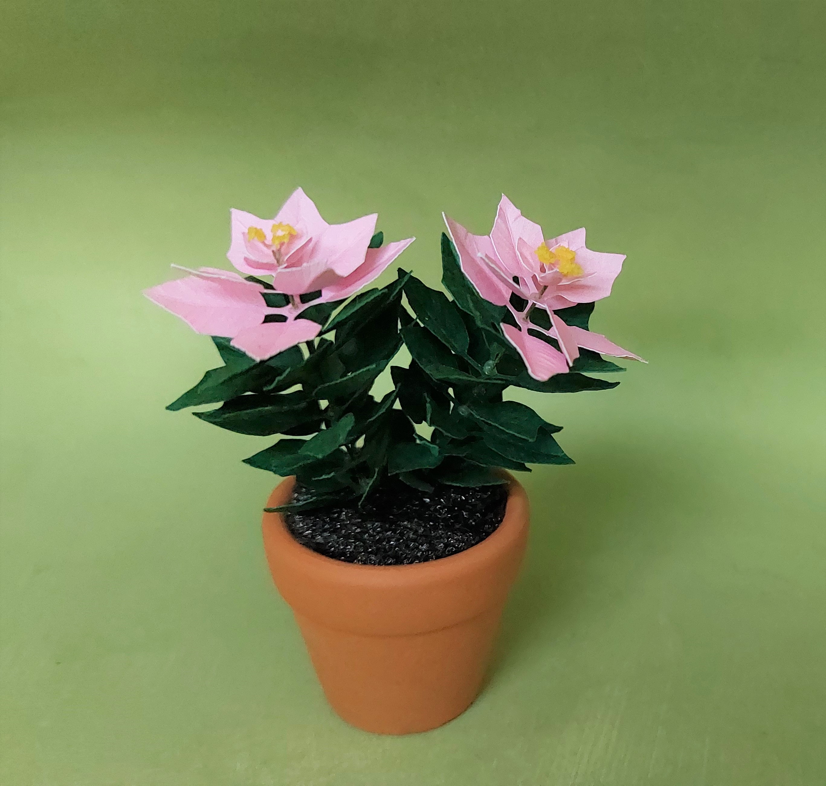 Miniature KIT pink Poinsettia flower plant Christmas garden flower, scale 1:12, DIY