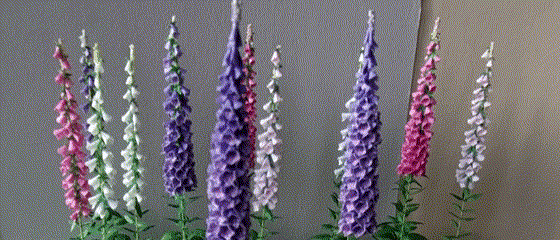 Miniature 8x Mix foxgloves flowers 1:12 dolls house 