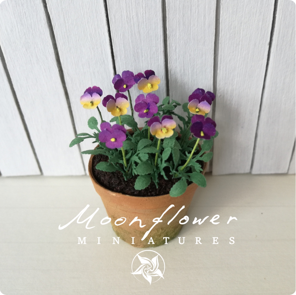 KIT large Pansy beacon purple yellow, Miniature garden dollhouse kit, scale 1:12, DIY, viola