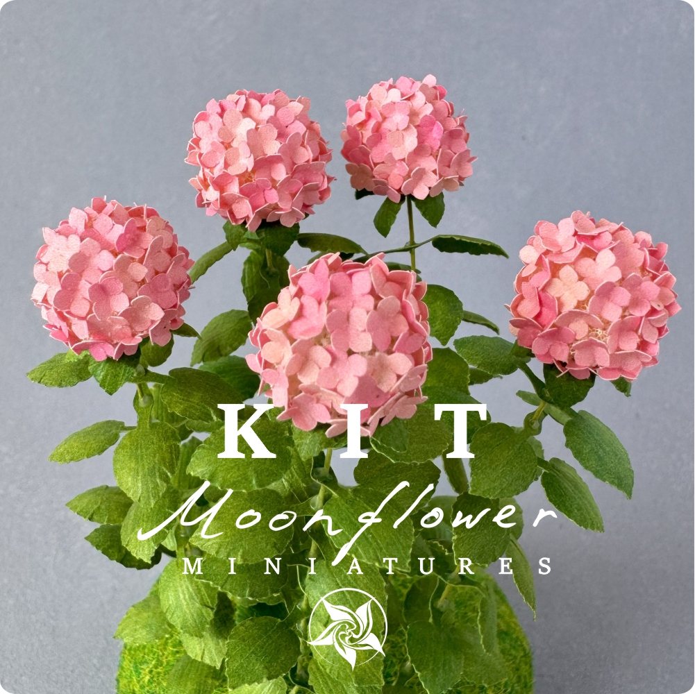 Kit Variegated Watermelon Hydrangea flower dollhouse Miniature paper craft garden flower shop, scale 1:12, DIY