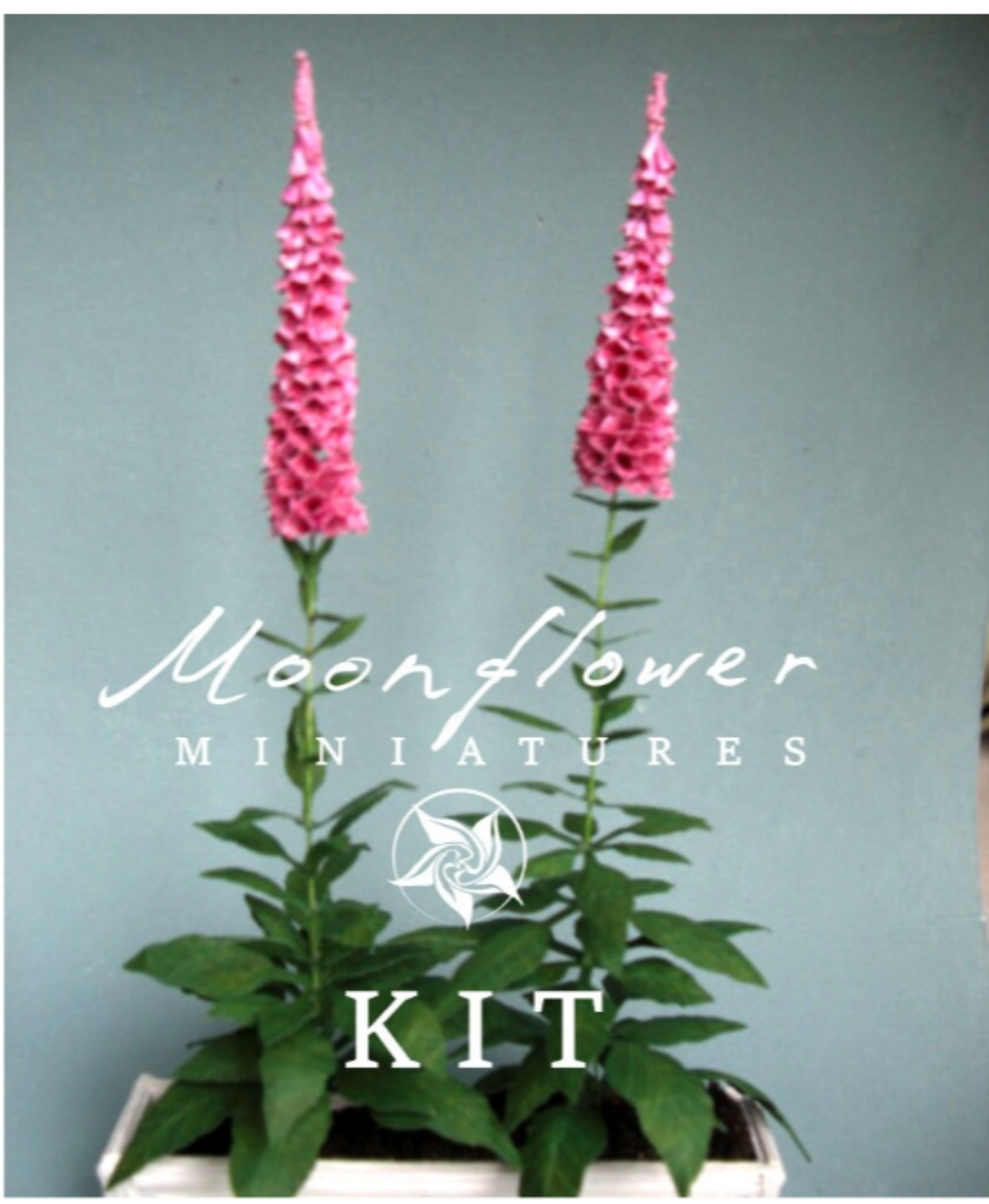 Kit pink Foxgloves dollhouse Miniature garden flower shop, scale 1:12, DIY