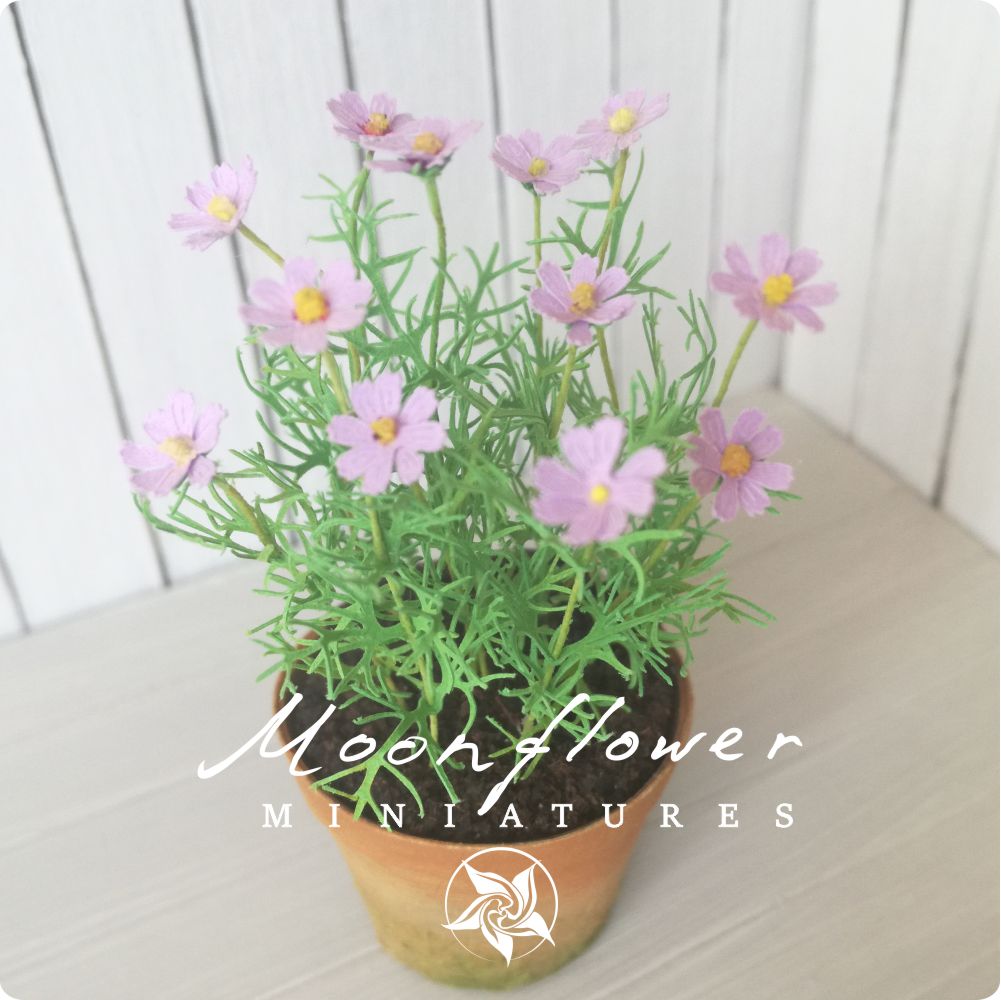 KIT Miniature garden dollhouse flower kit, scale 1:12, Cosmos Lilac DIY