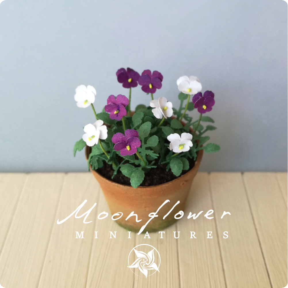 KIT large Pansy beacon purple white, Miniature garden dollhouse kit, scale 1:12, DIY, viola