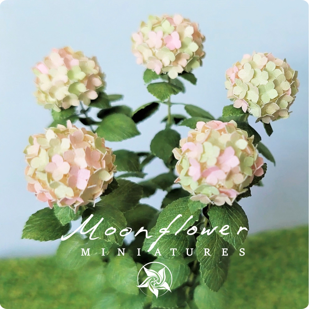 Kit Variegated pink/green Hydrangea flower dollhouse Miniature paper craft garden flower shop, scale 1:12, DIY