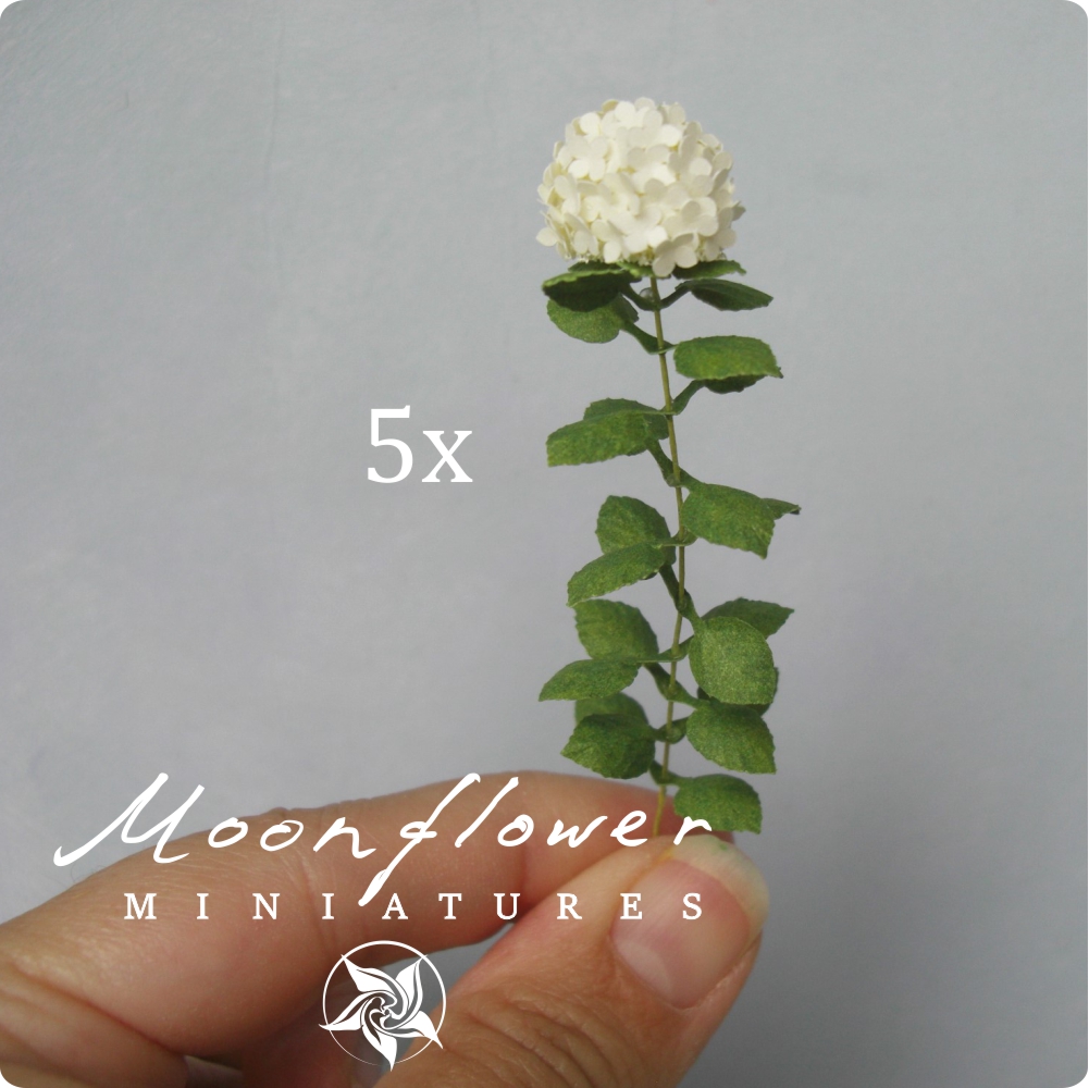 5X Miniature Hydrangea flowers White Cream