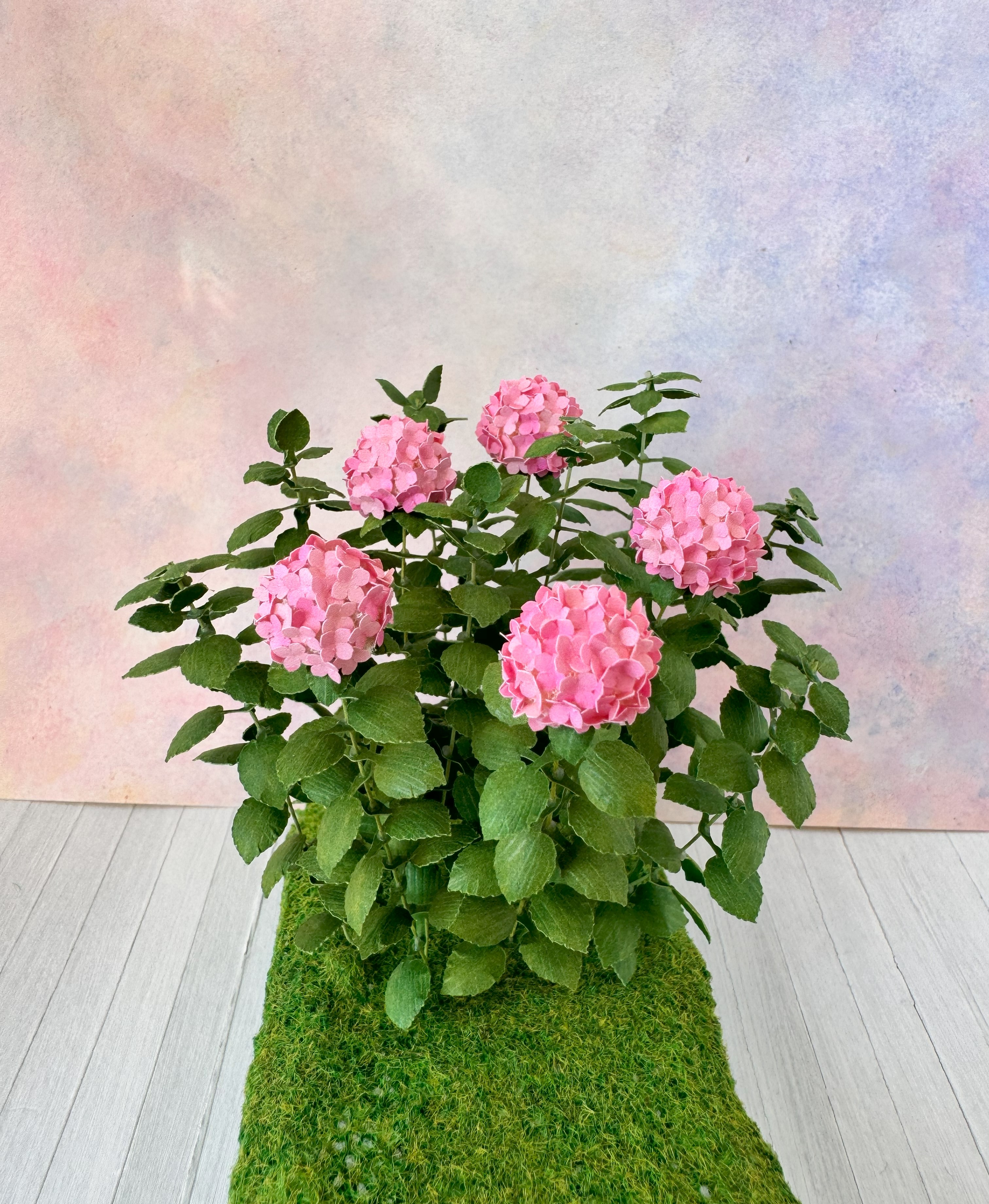 Variegated Watermelon Hydrangea Bush miniature flowers 1:12