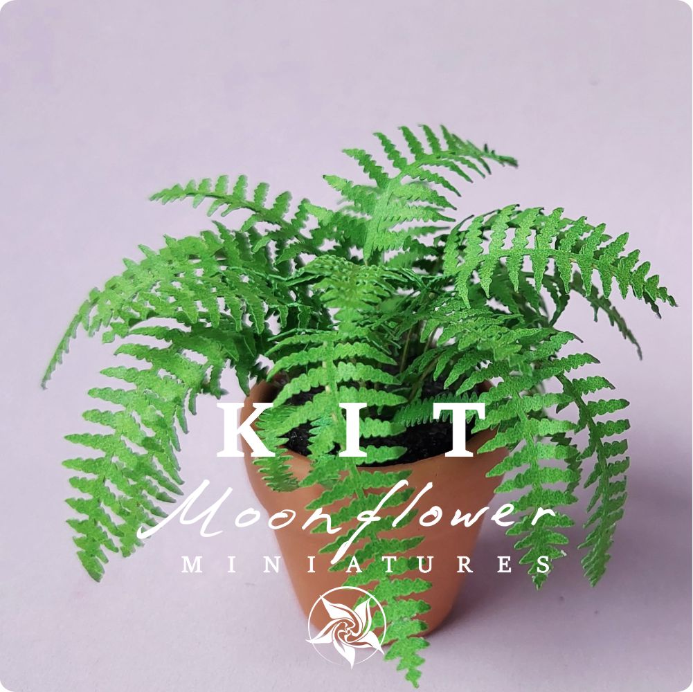 Miniature Kit 1:12 House Fern grass green flower shop, DIY fairy dollshouse
