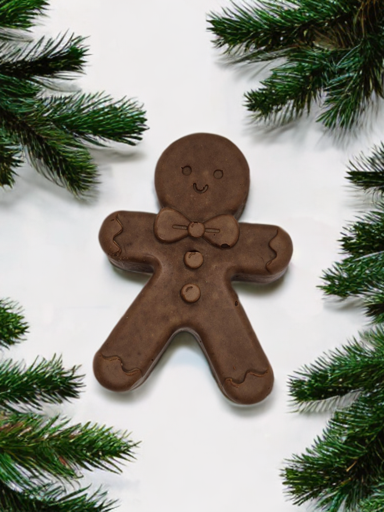 Gingerbread Soap Kit
