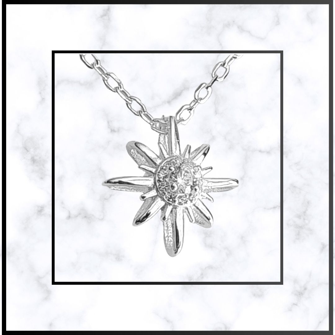 Collar estrella polar de Plata 925