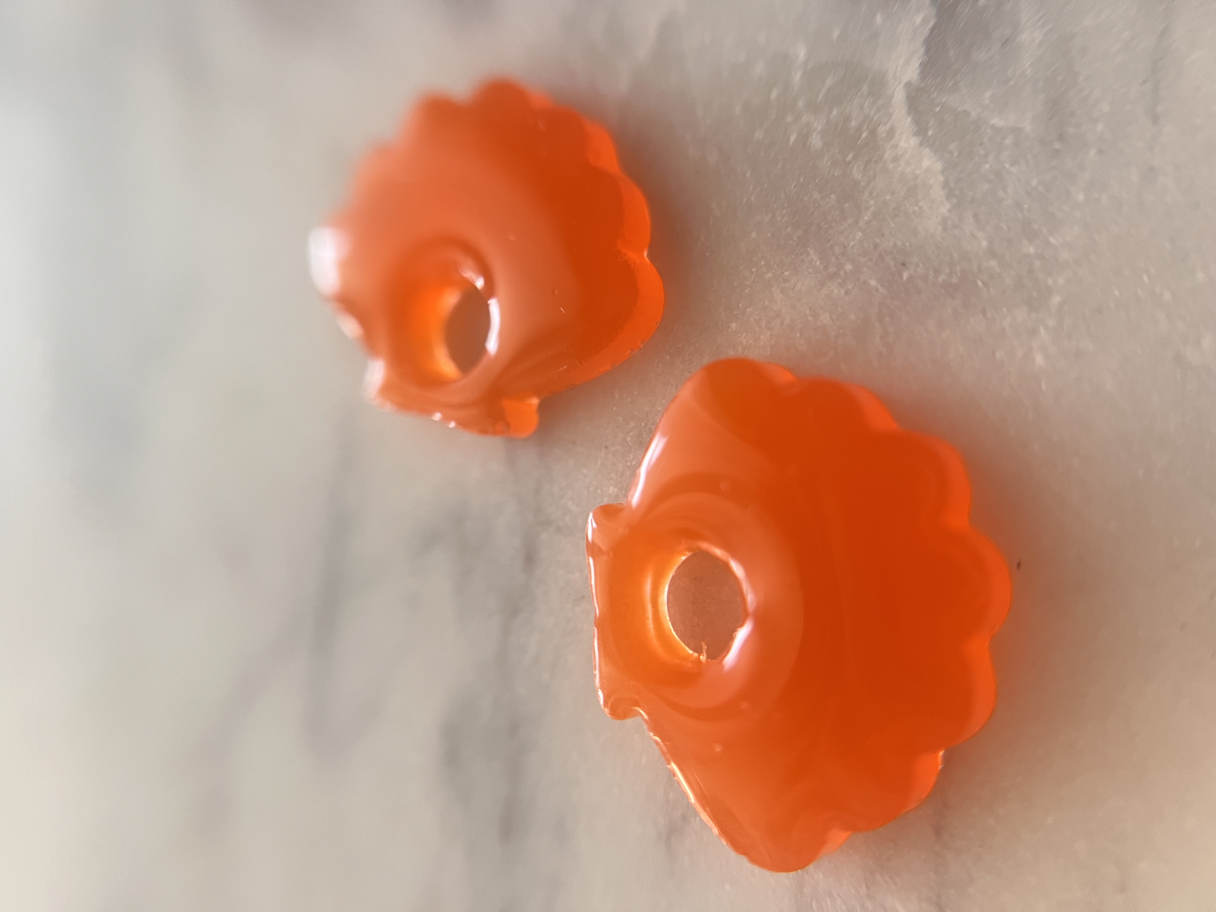 Coquillage Orange