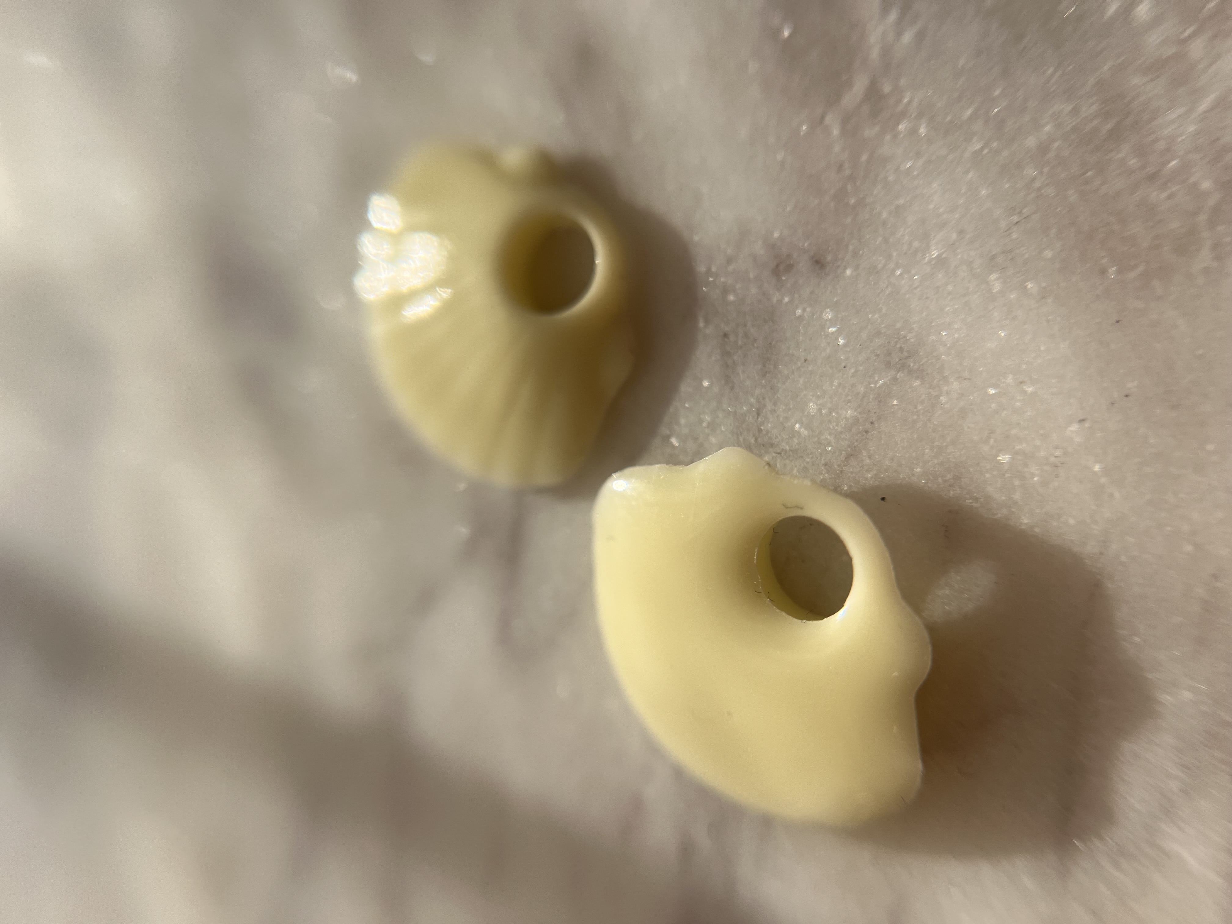 Coquillage Jaune Pastel