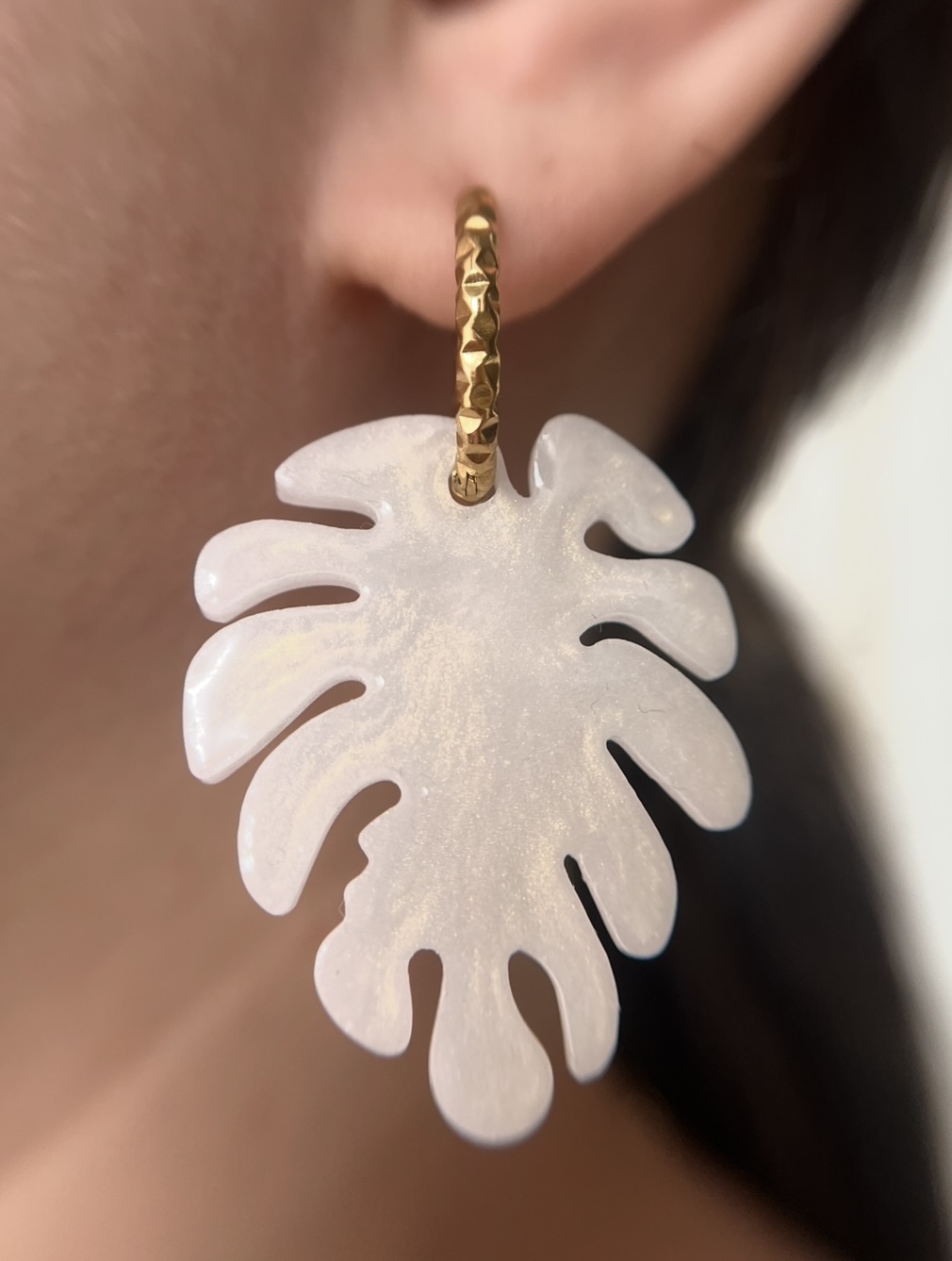 Pampilles interchangeables 