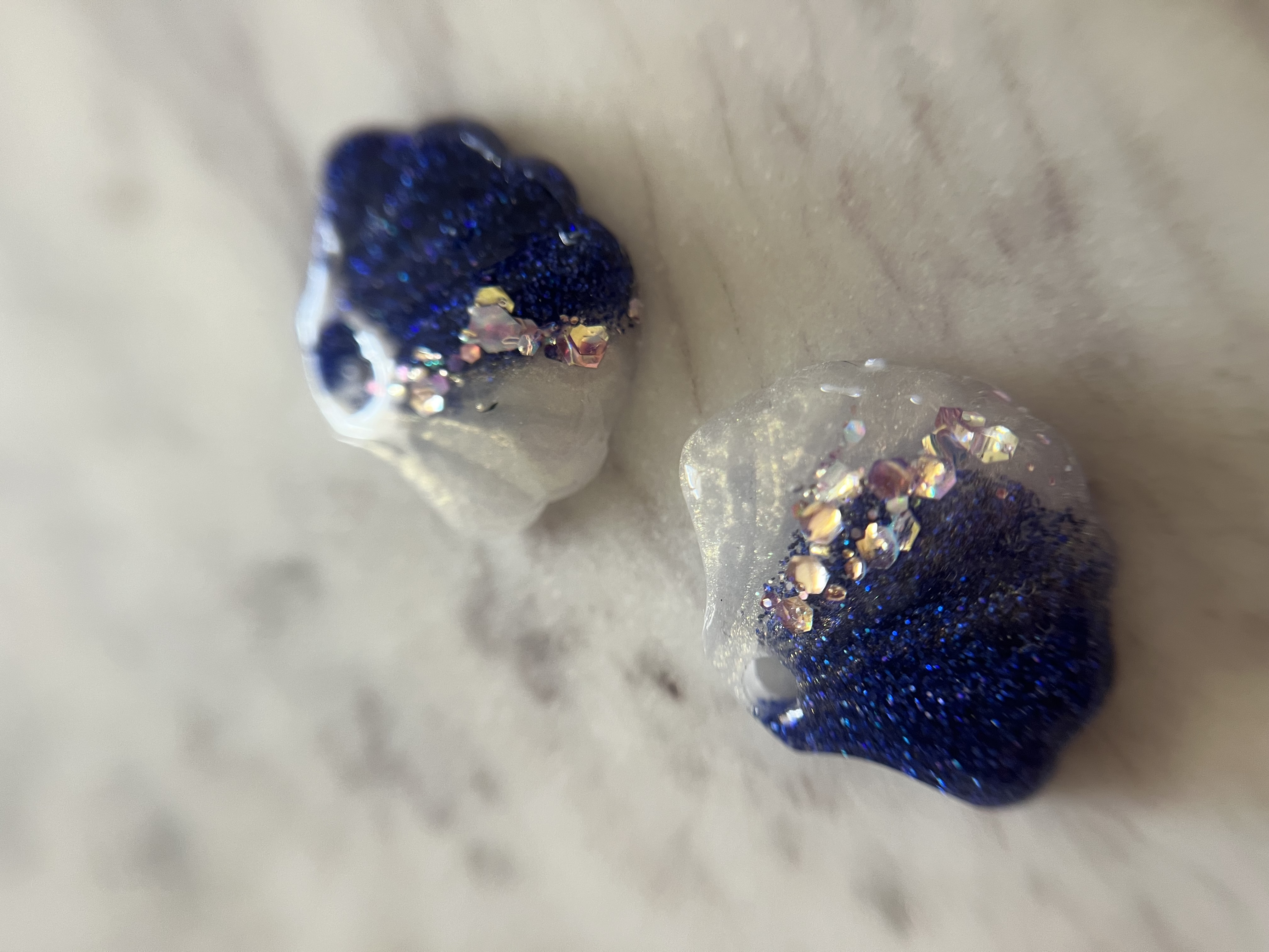 Coquillage bleu et blanc