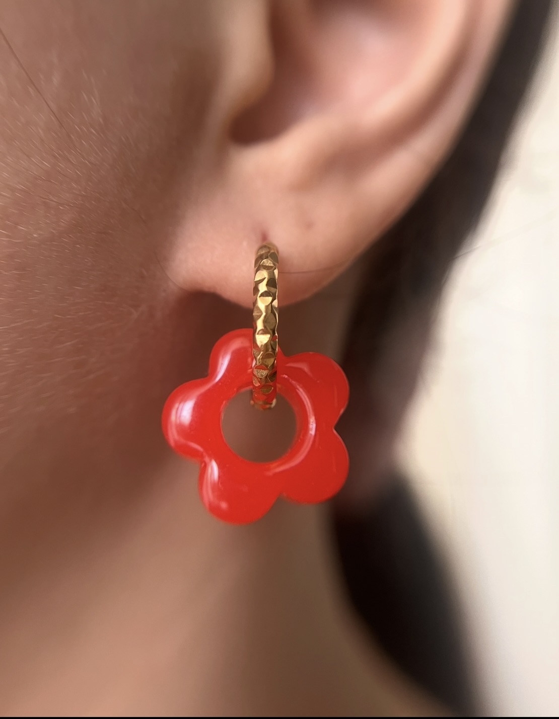 Pampilles interchangeables 