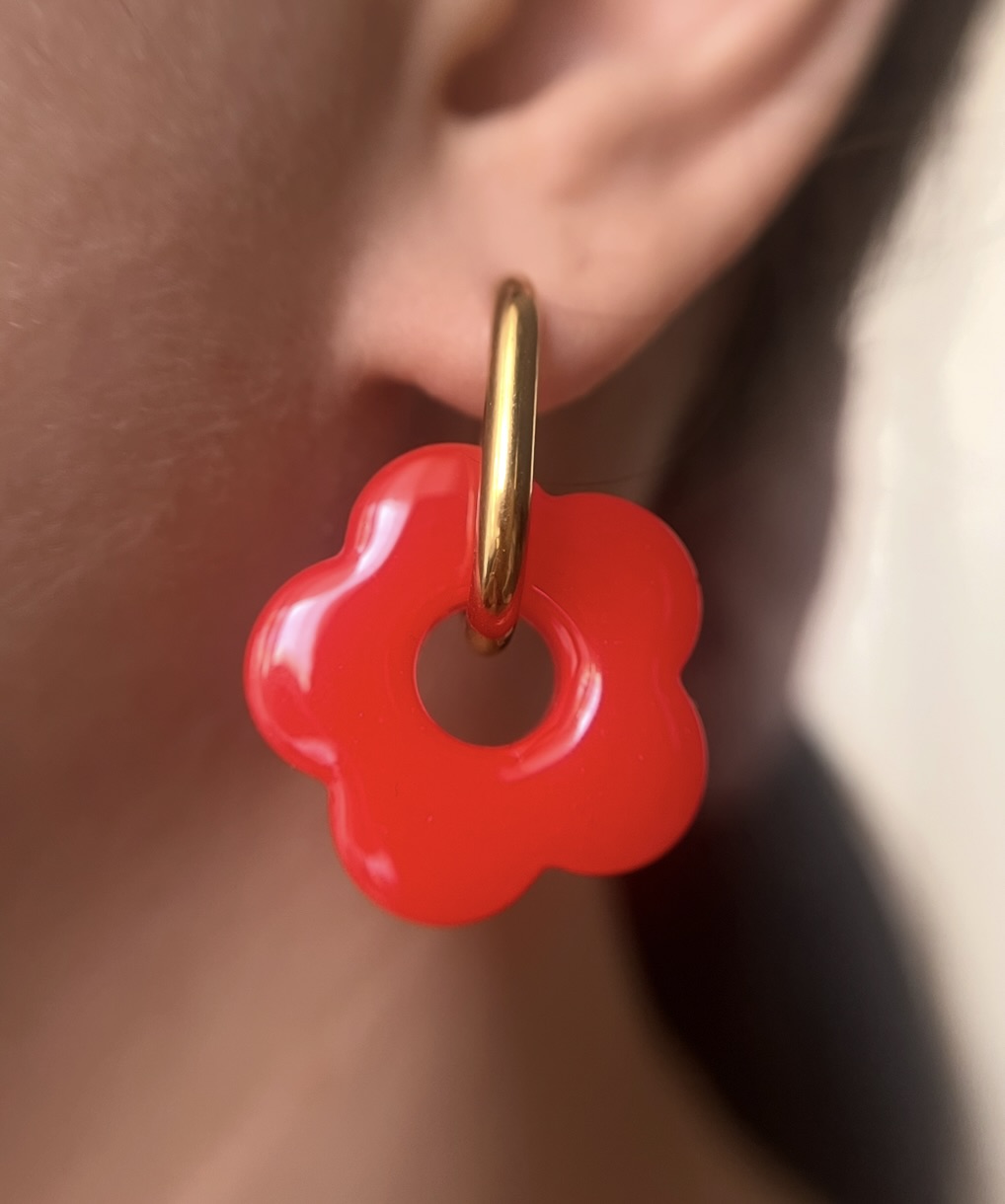 Pampilles interchangeables 