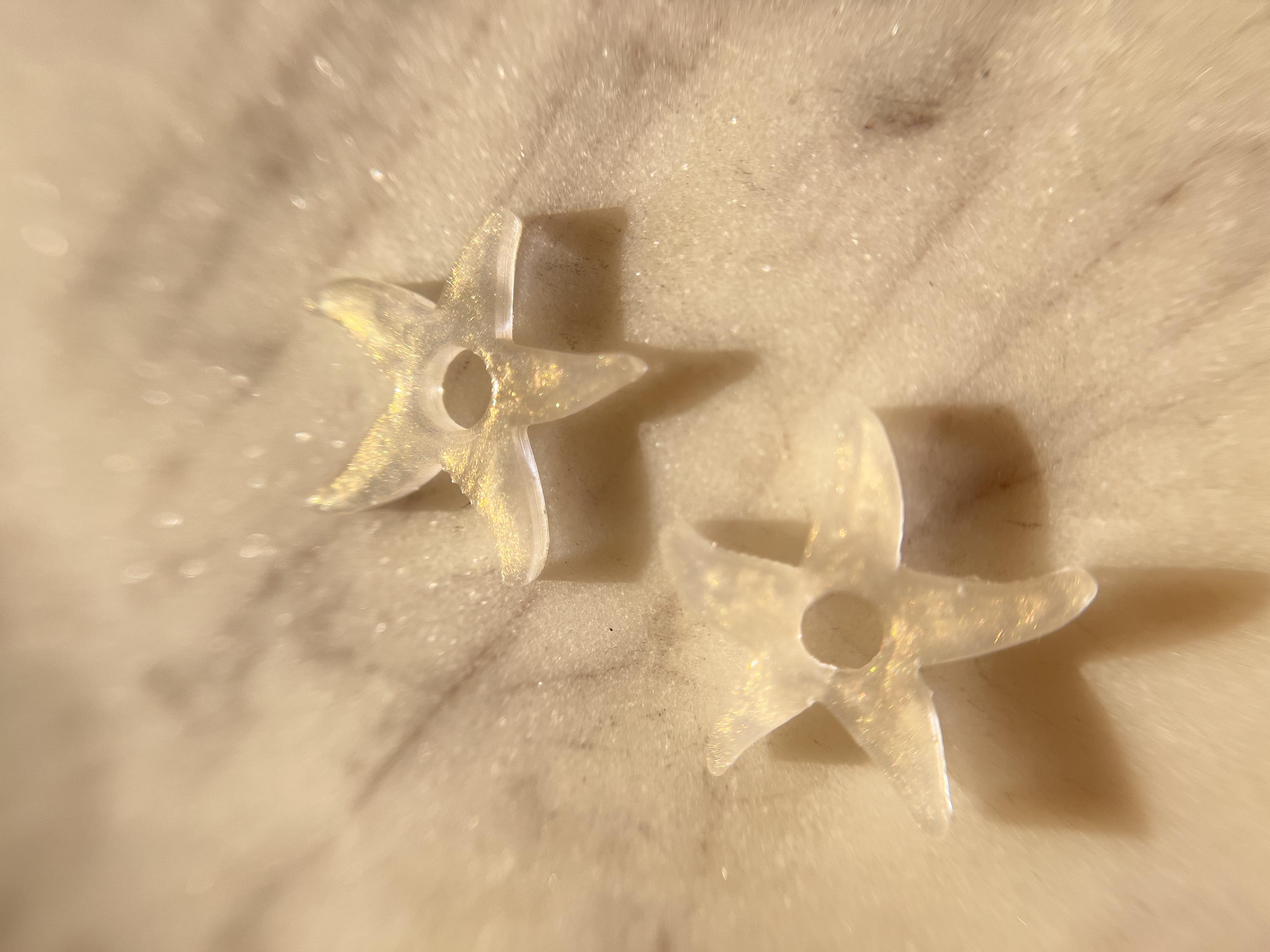 Les Originales étoile de mer