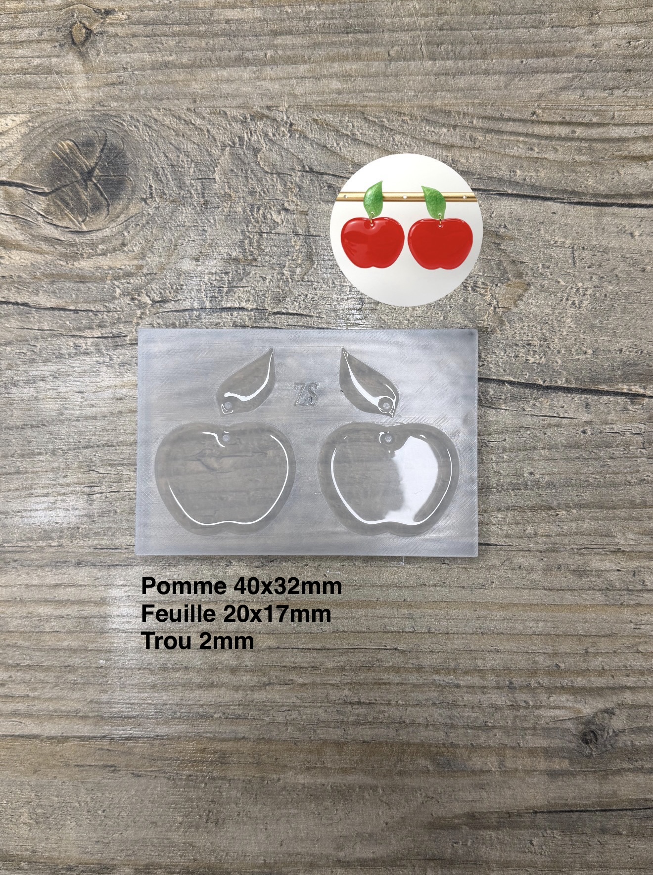 Moule  Boucle d'oreille Pomme