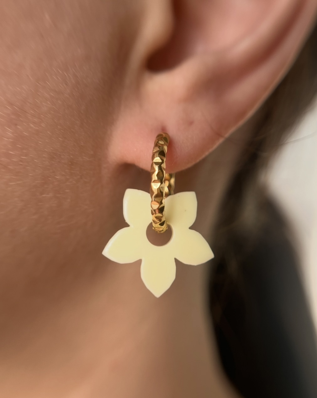 Pampilles interchangeables 