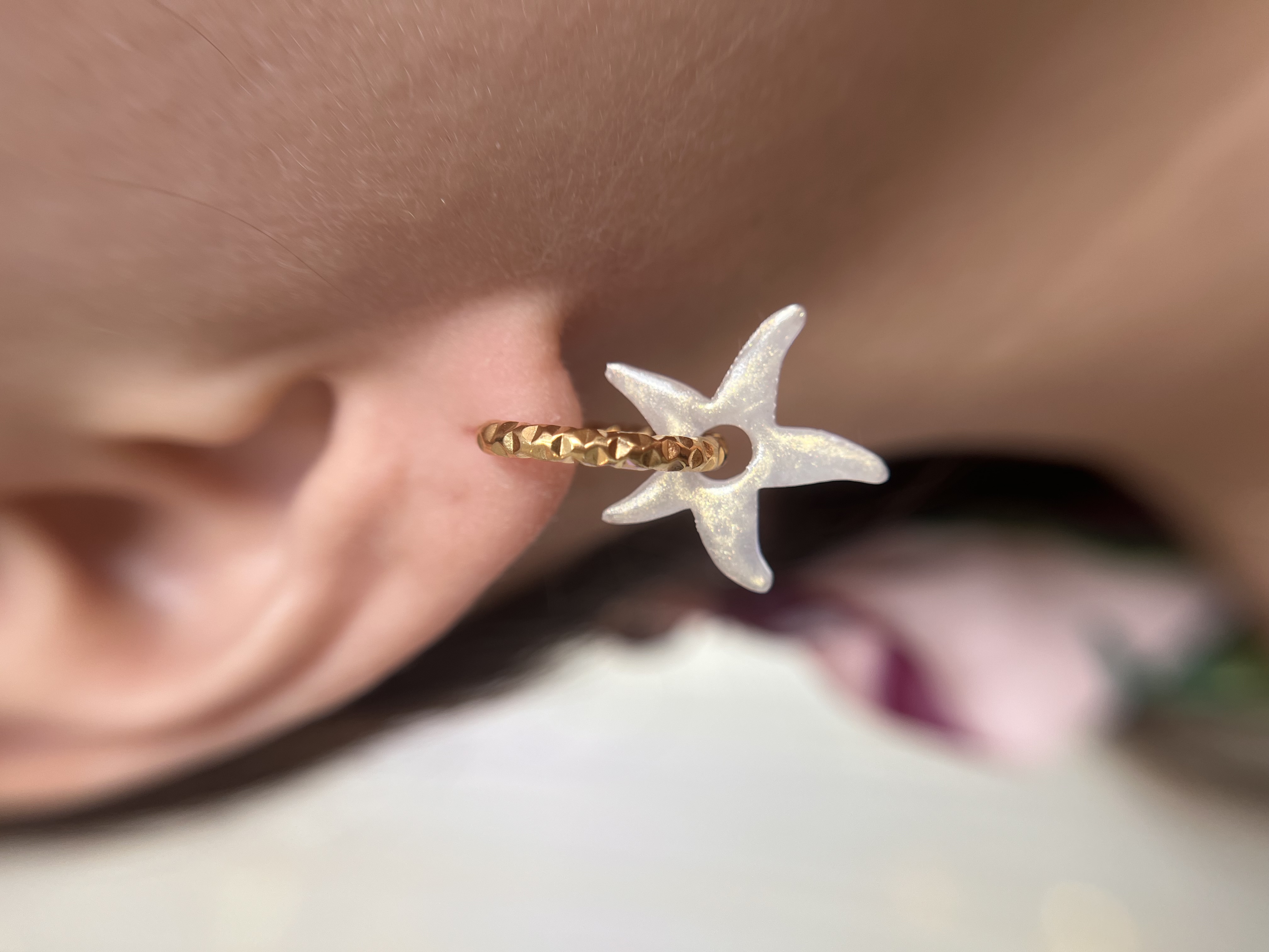 Les Originales étoile de mer