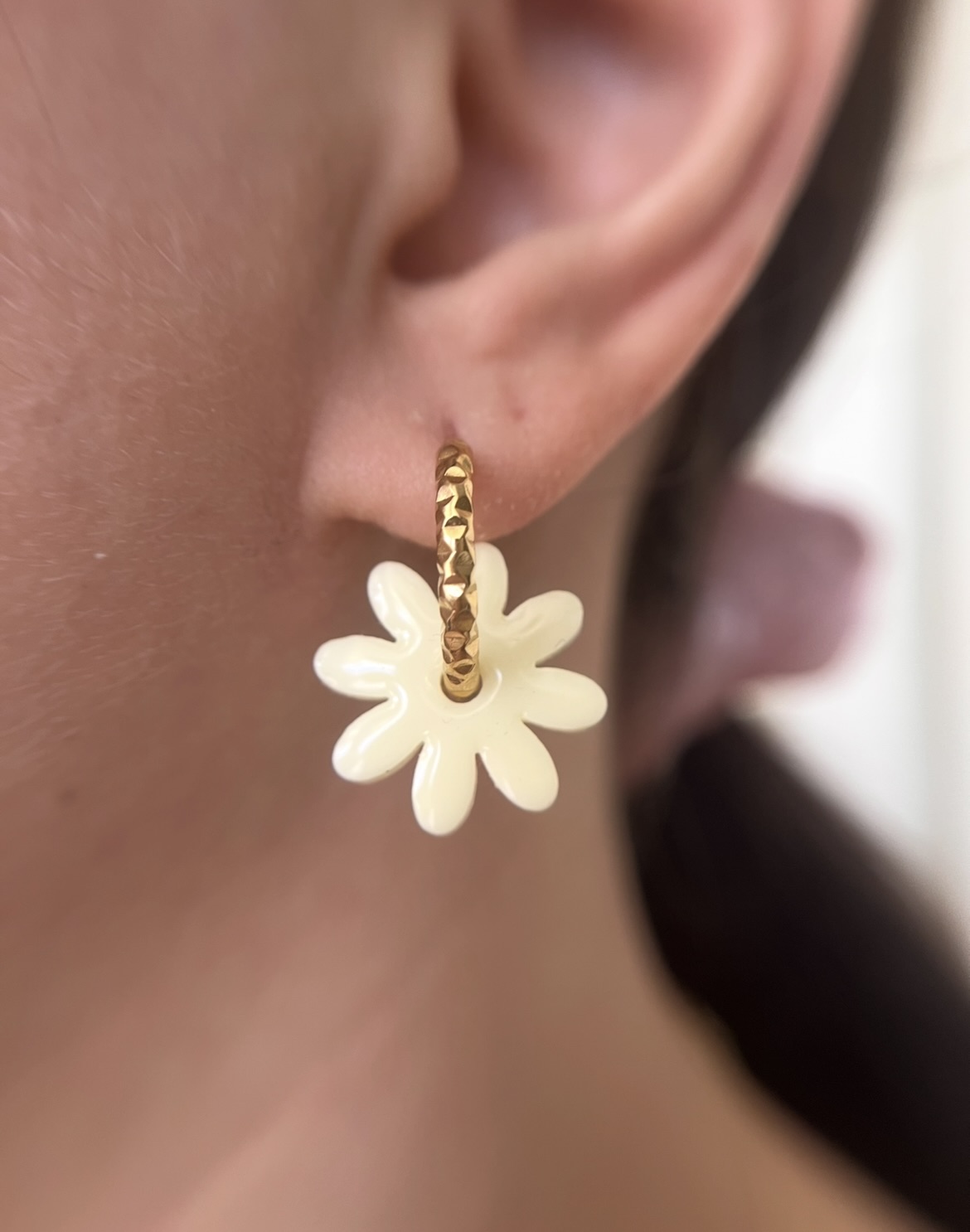 Pampilles interchangeables 