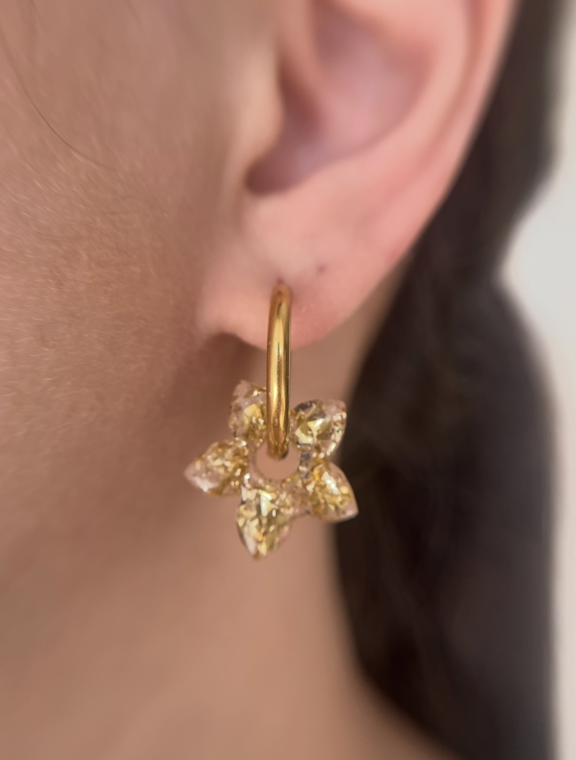 Pampilles interchangeables 