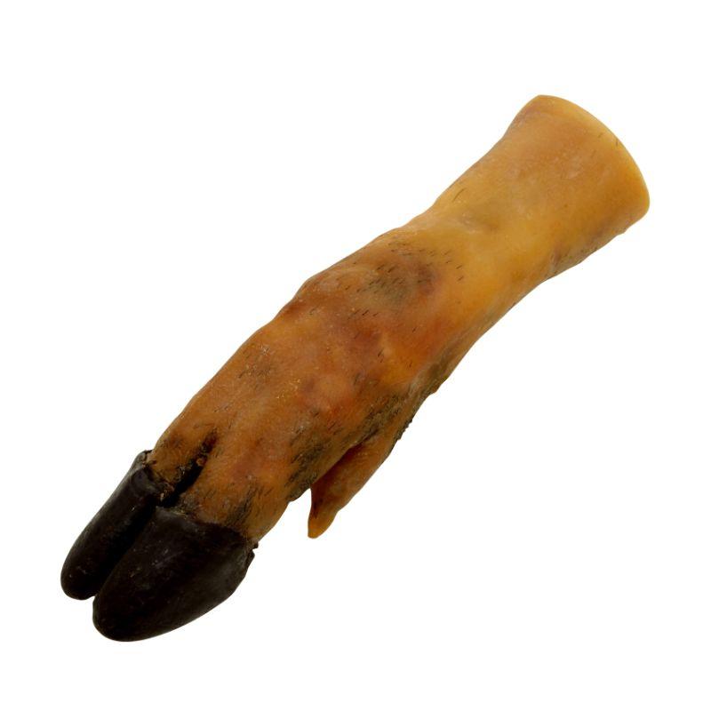 Pied de porc