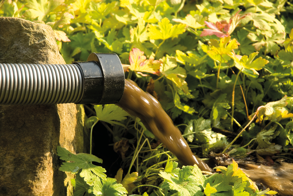 Aspirateur pour Bassin/Piscine
