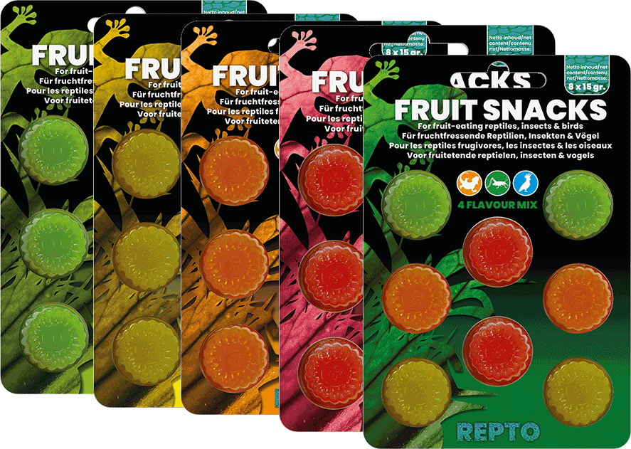 Fruits Snacks