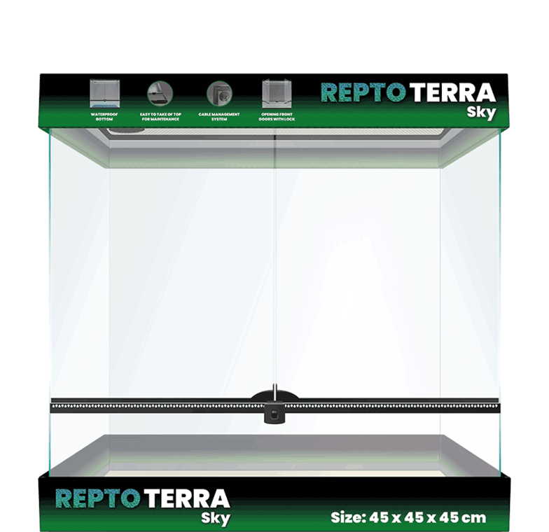 Repto Terrarium Sky