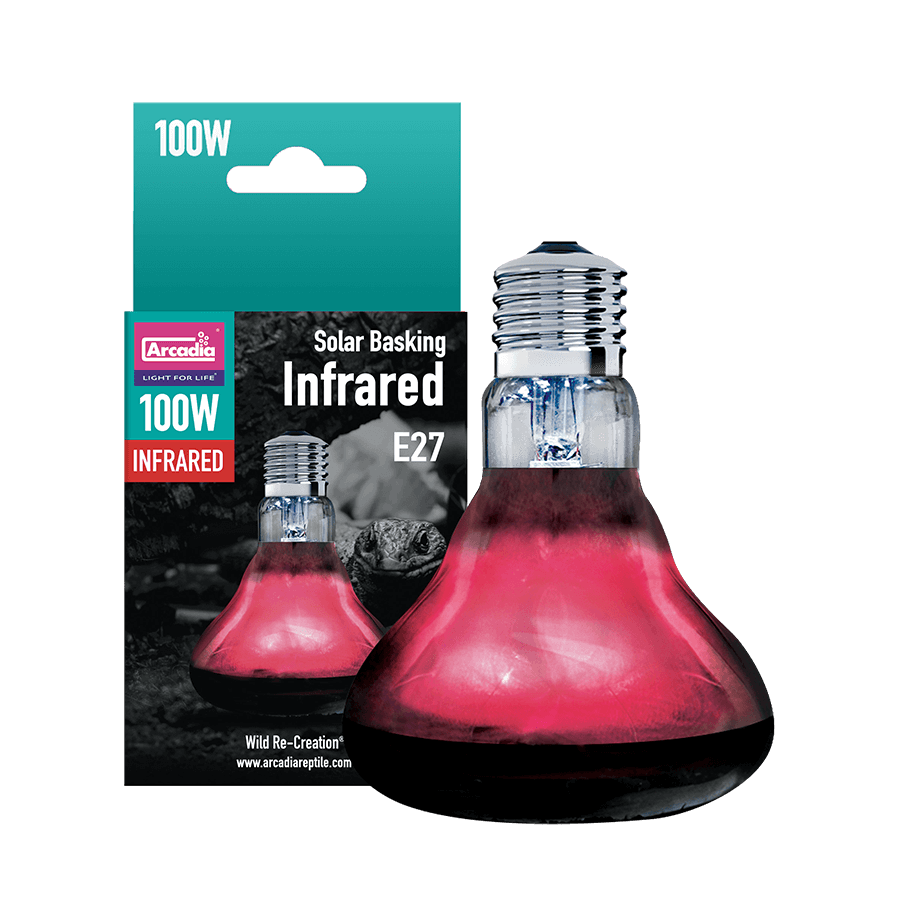 Arcadia ampoules infrarouges 