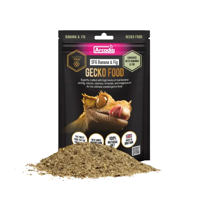 Gecko food banane & figues