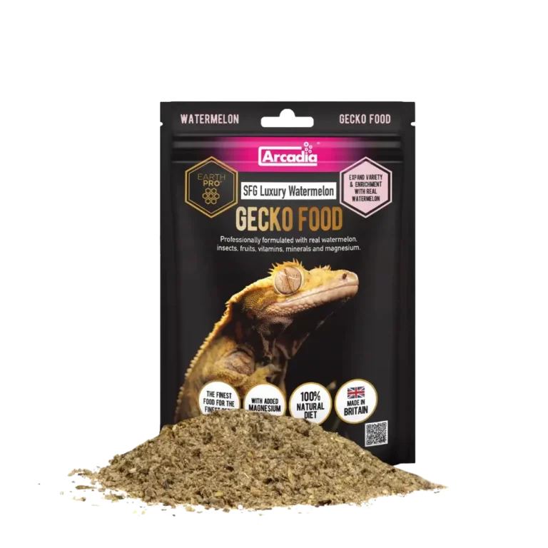 Gecko food pastèque