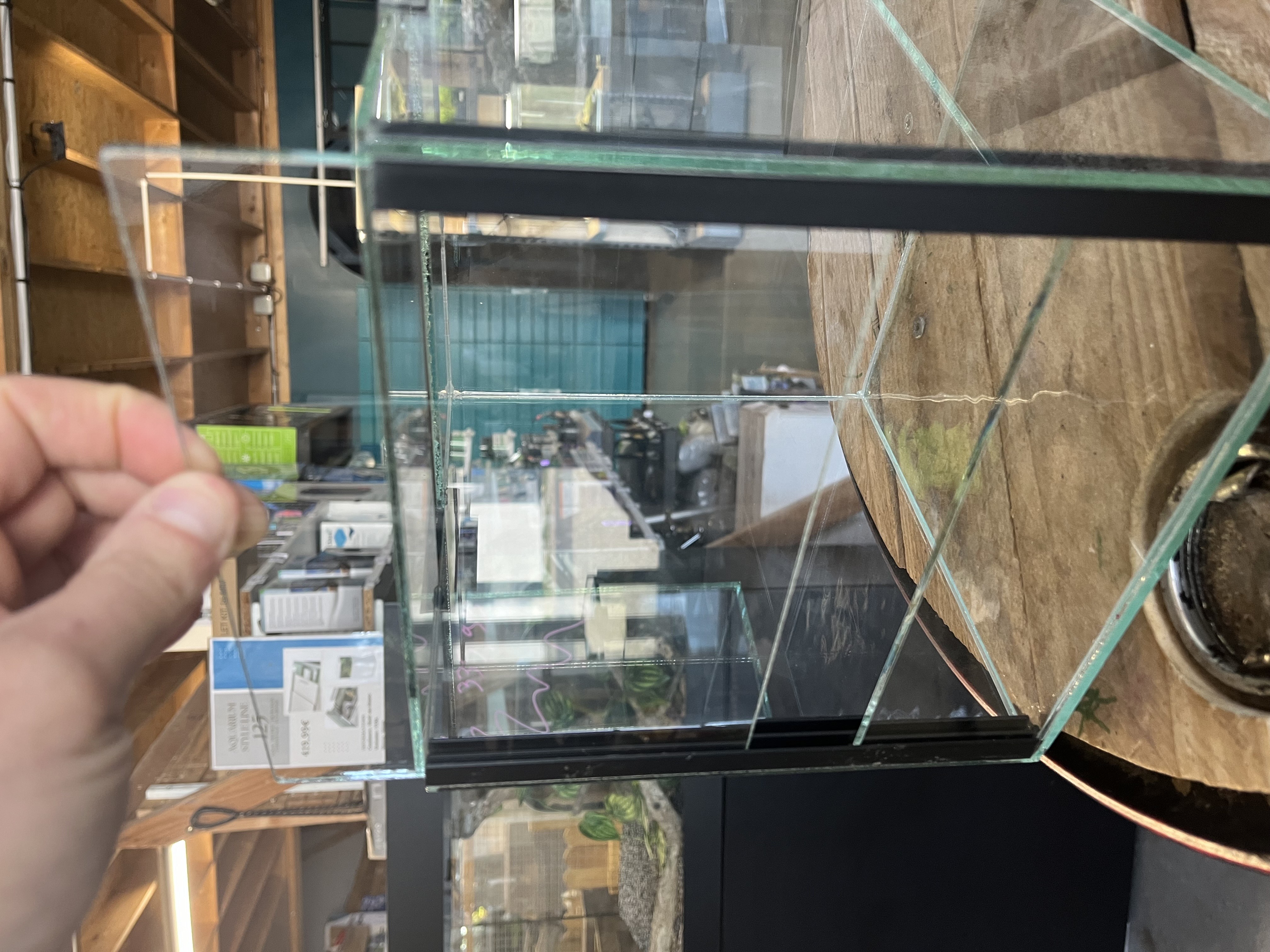 Terrariums verre sur mesure