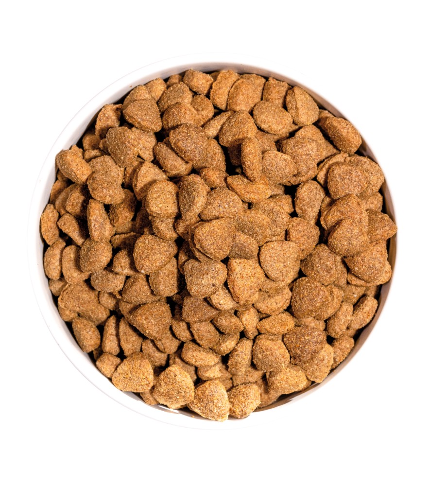 OWNAT CLASSIC LIGHT (CHIEN ADULTE)