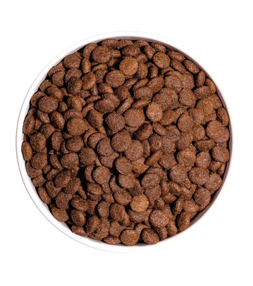 OWNAT CLASSIC MINI (CHIEN ADULTE)