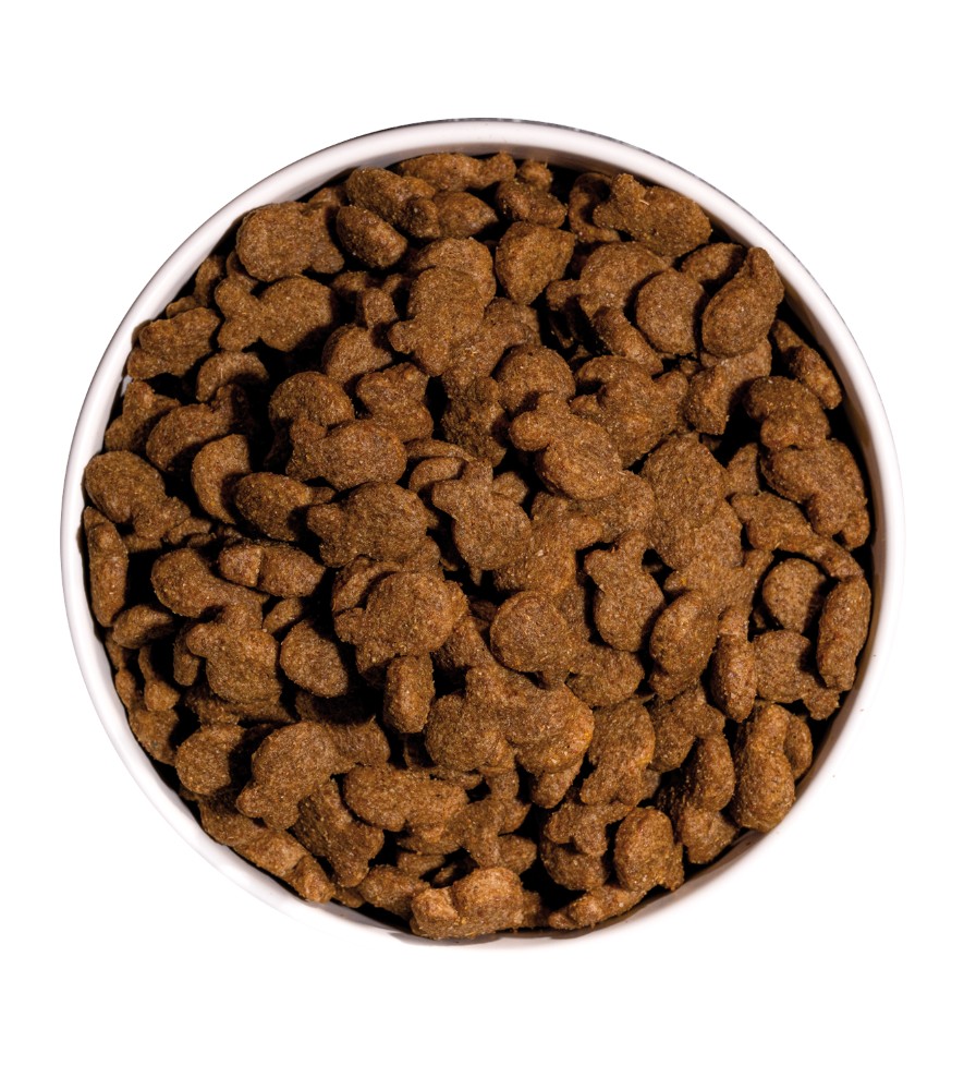 OWNAT CLASSIC POISSON (CHIEN ADULTE)
