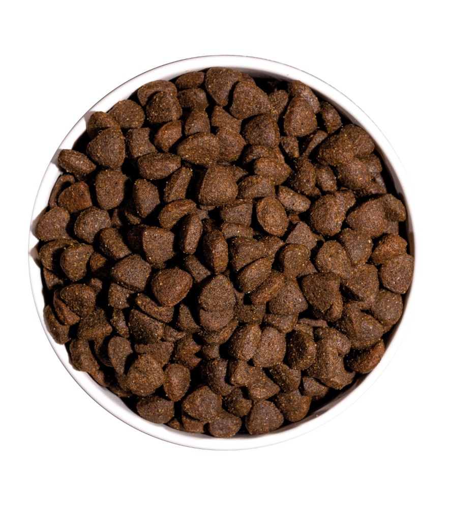 OWNAT JUST GRAIN FREE POULET (CHIEN ADULTE)