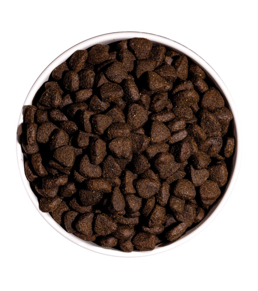 OWNAT JUST GRAIN FREE SAUMON (CHIEN ADULTE)
