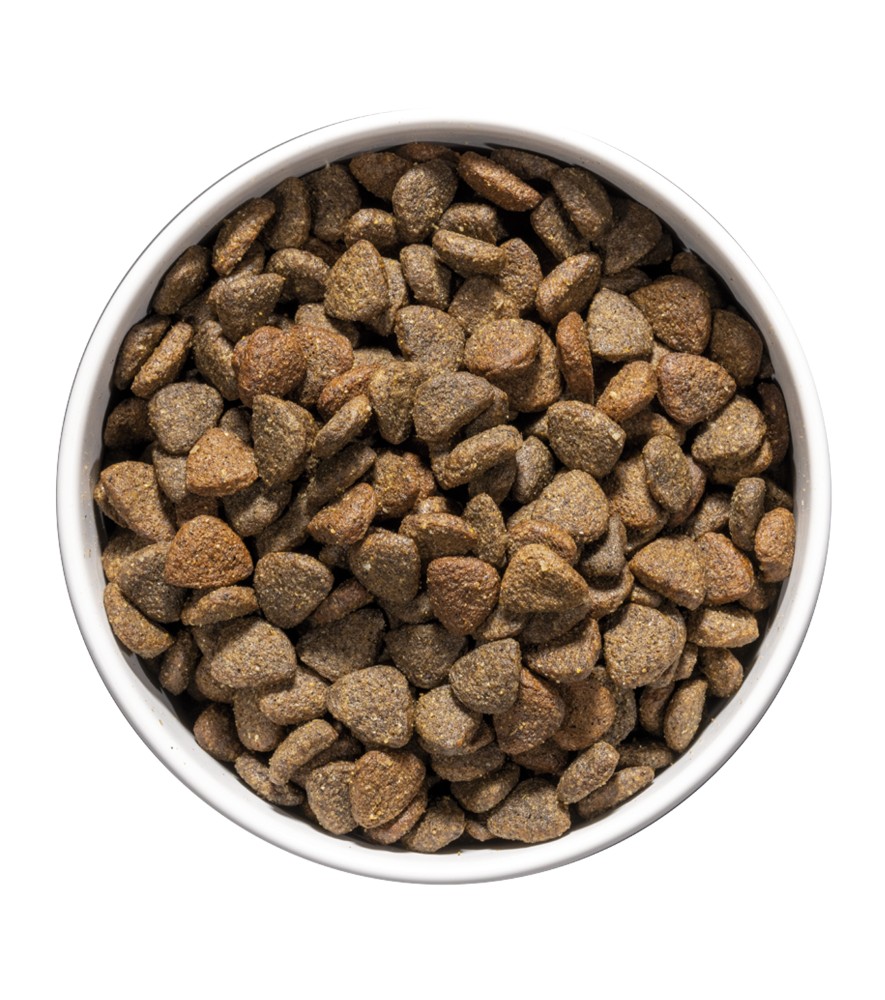 OWNAT CARE MOBILITY (CHIEN ADULTE)
