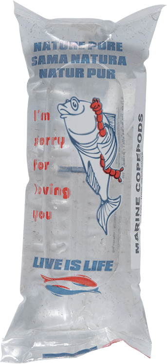 Copepodes vivante