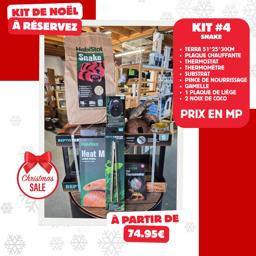 Kit complet pour serpent des blés